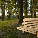 Cobblestone Park  Montville Duchek 9184
